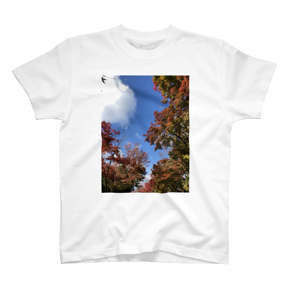 スケルトンの秋の景色 スタンダードTシャツ