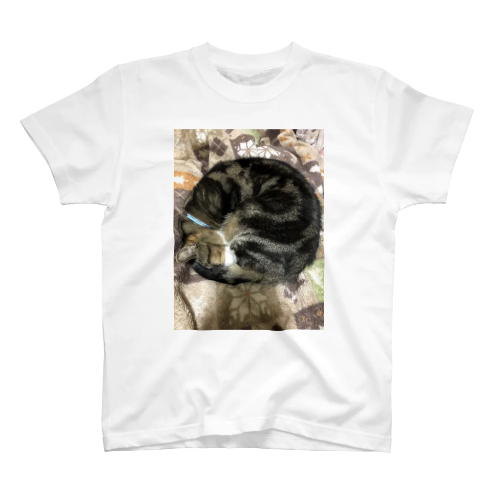 Toranosukeの猫のアンモニャイト スタンダードTシャツ