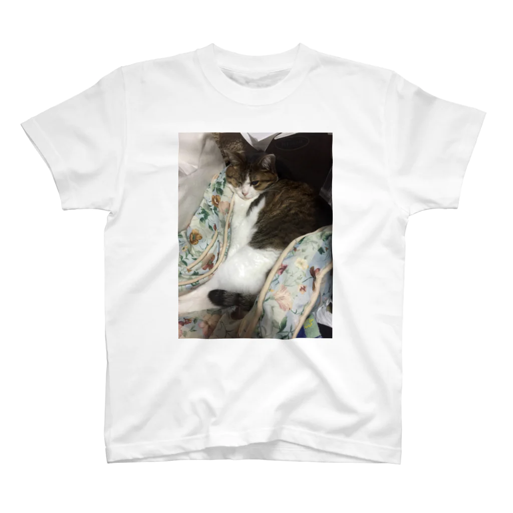 月猫堂のかためねこさん【すっぽり】 スタンダードTシャツ