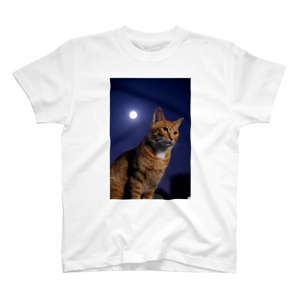 シッポ追いの猫写真店のつきねこ 十五夜 Regular Fit T-Shirt