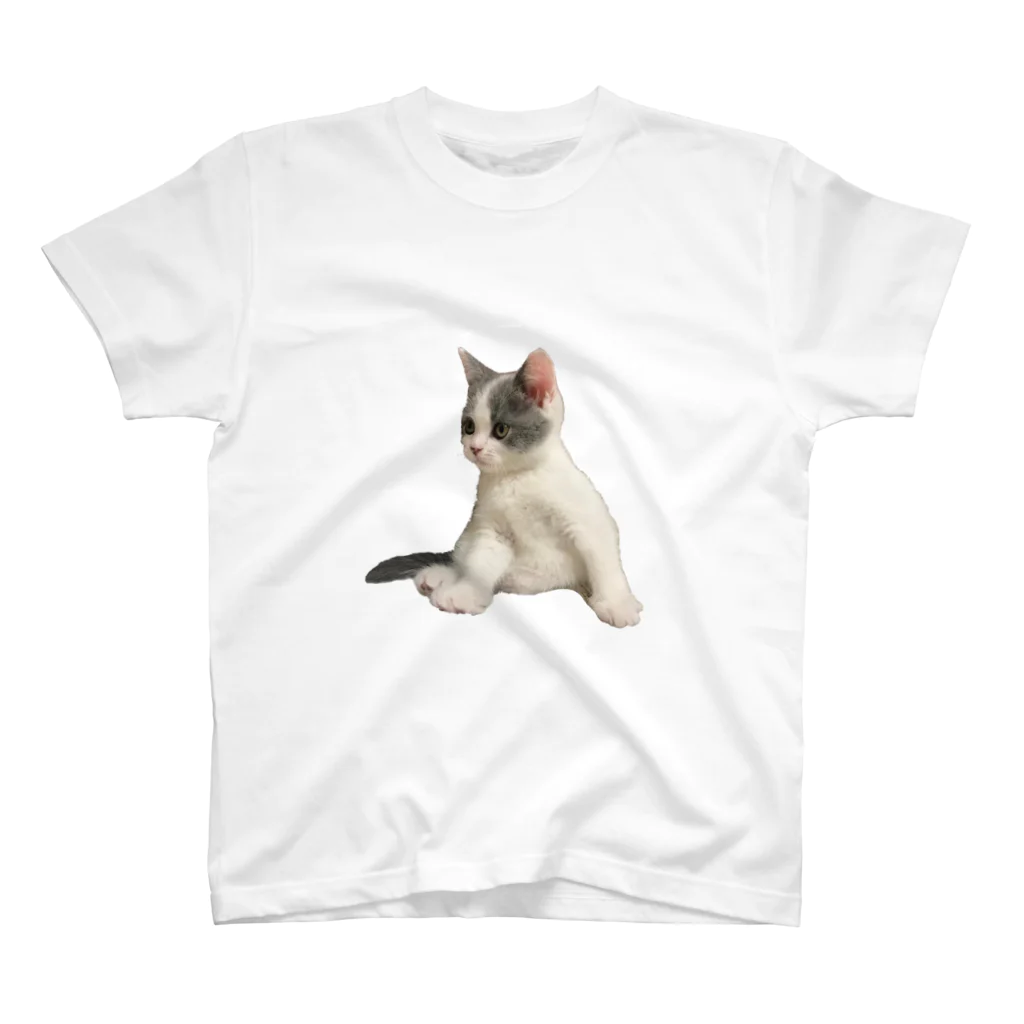 cat.kotetsuのねこのこてつ スタンダードTシャツ