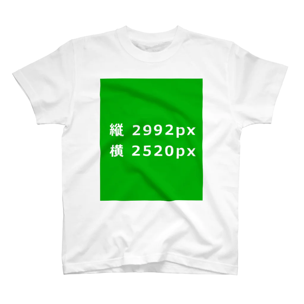 3rd shopのTシャツ スタンダードTシャツ