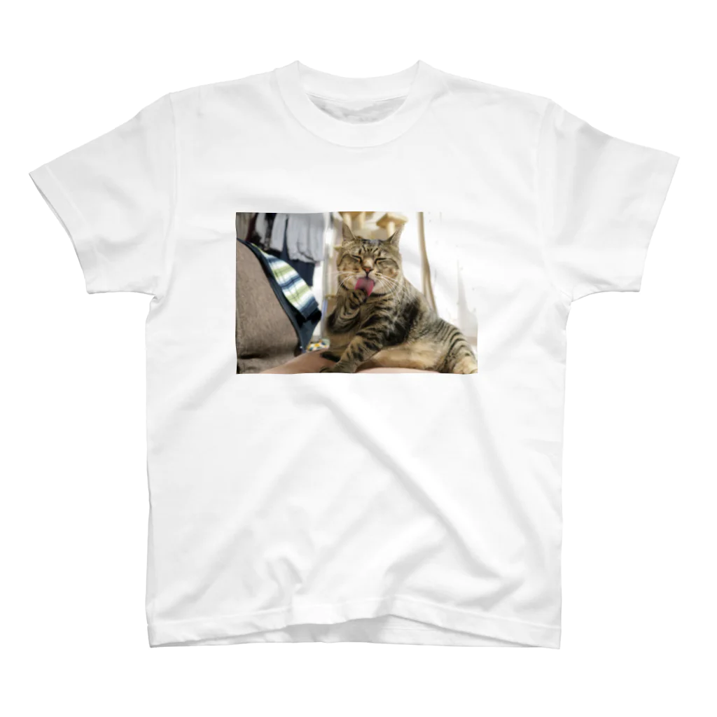 They call me"sambo"のねこ スタンダードTシャツ