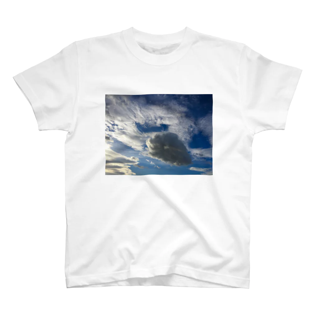 mirorinDEsの乗れそうな雲のTシャツ スタンダードTシャツ
