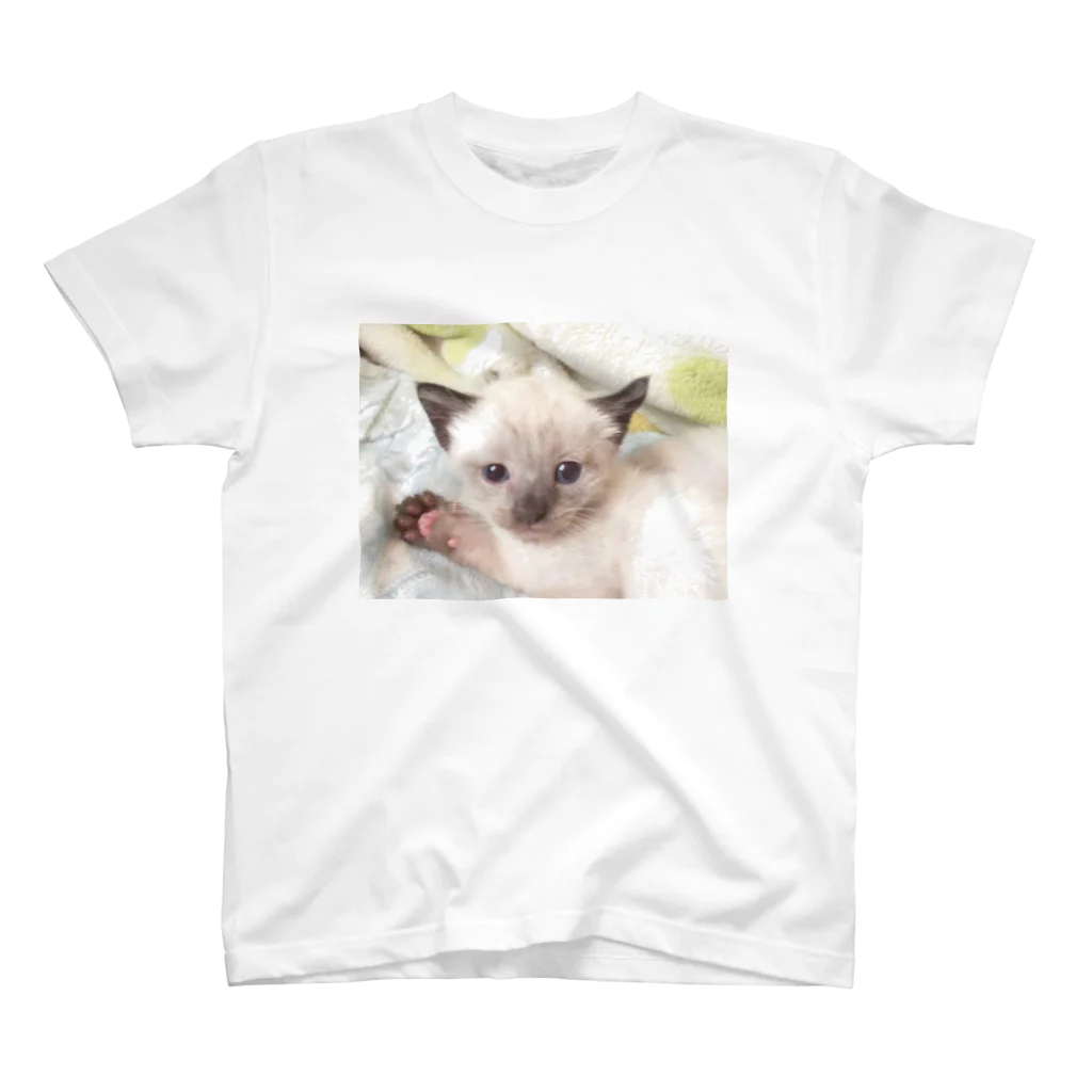 Siamese cat シャムのシャムBaby スタンダードTシャツ