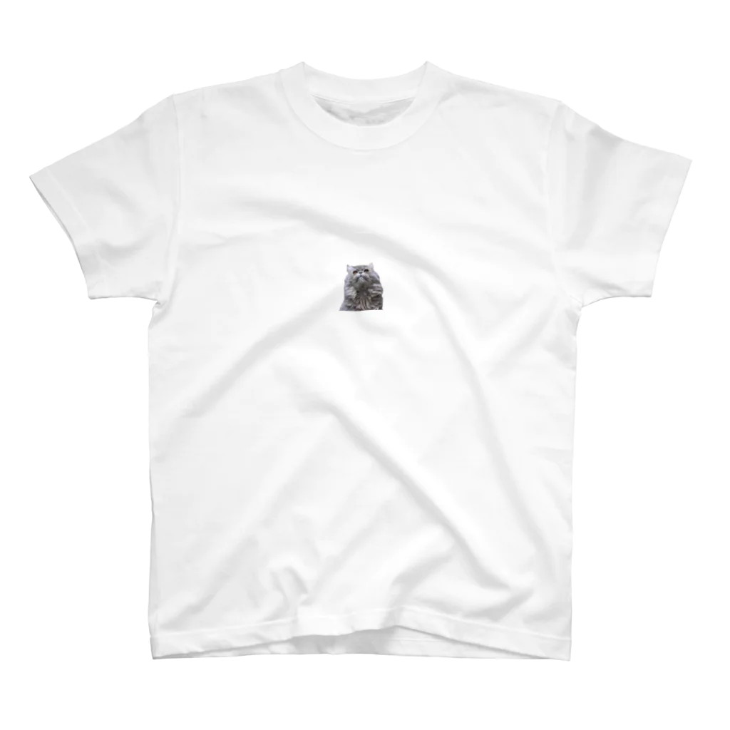 ねこちゃんのよーだ Regular Fit T-Shirt