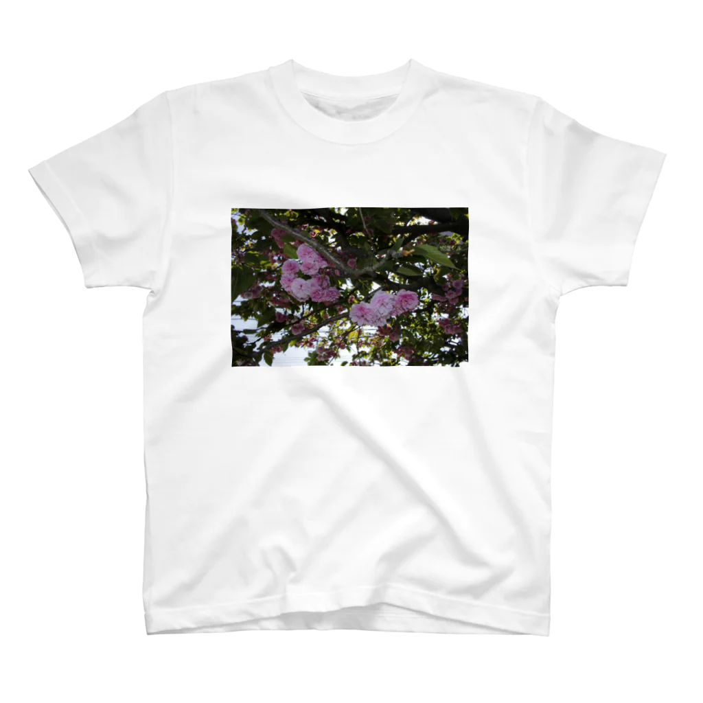 hiroki-naraの残った桜 Regular Fit T-Shirt