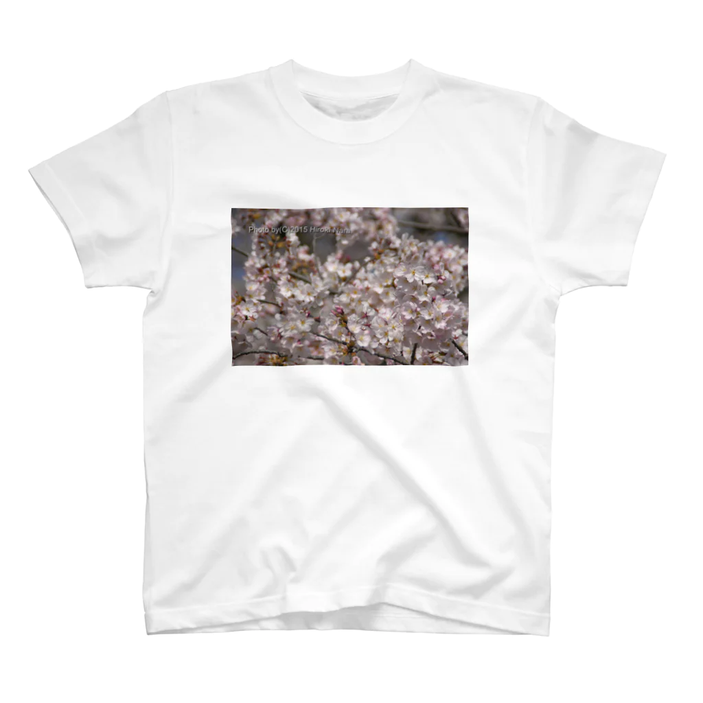 hiroki-naraの光景　sight0053　桜　2015_009　サクラ スタンダードTシャツ