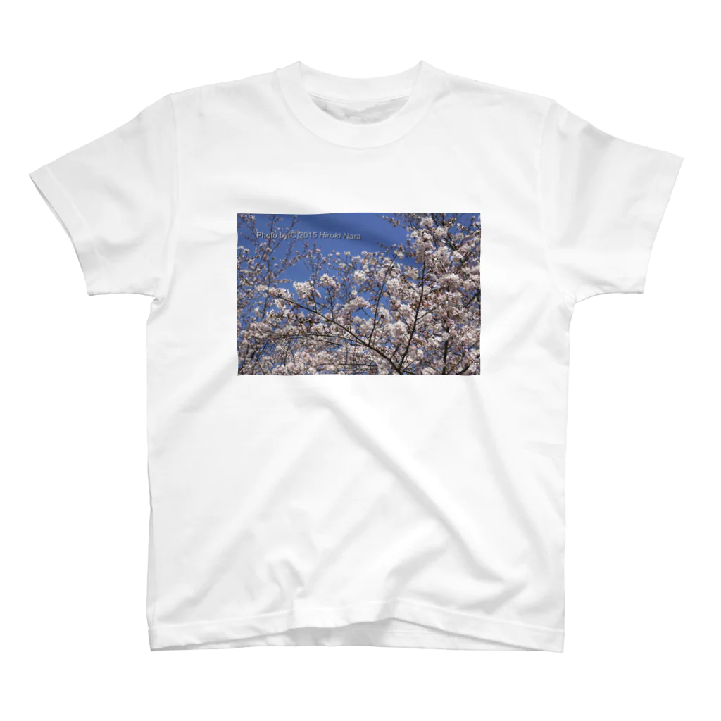 hiroki-naraの光景　sight0069　桜　2015_014　サクラ  スタンダードTシャツ