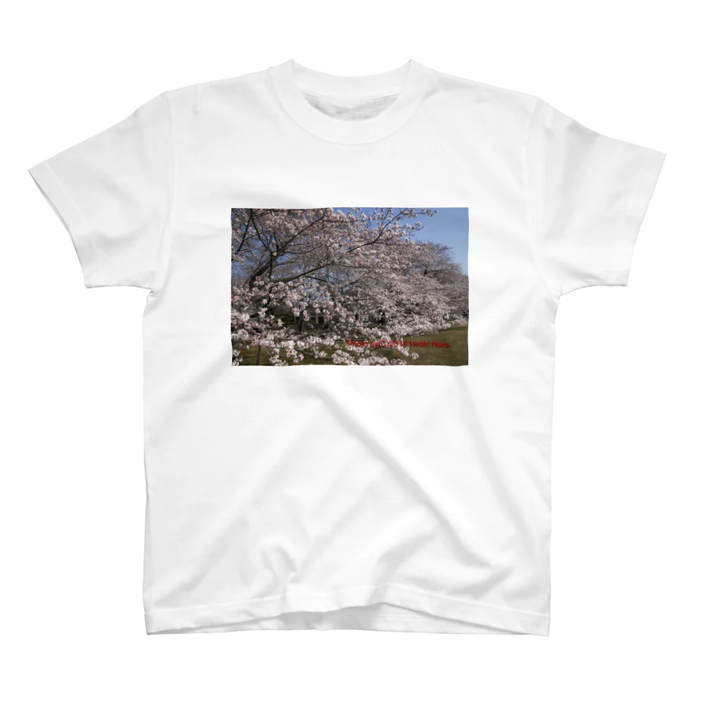 hiroki-naraの光景　sight0070　桜　2015_015　サクラ スタンダードTシャツ