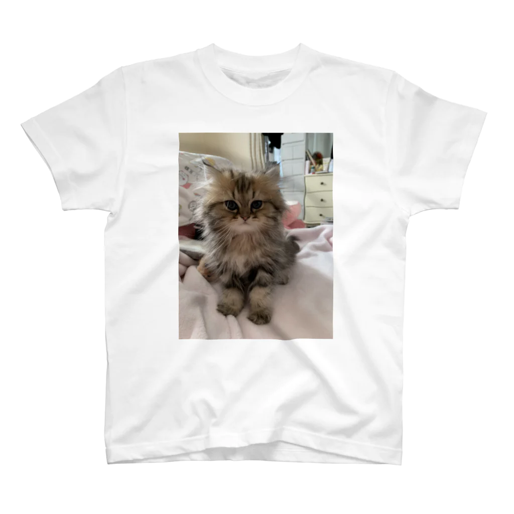 くまくまのうちねこ Regular Fit T-Shirt