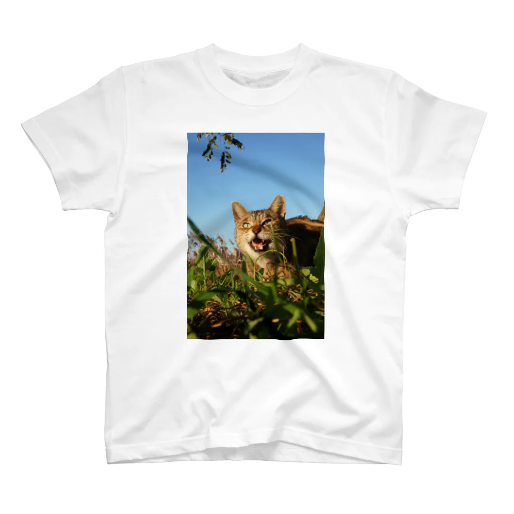 シッポ追いの猫写真店の遊ぼうぜ！ スタンダードTシャツ