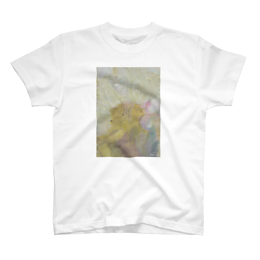 小さな野原のDecomposition of photo by soil(White Flower) スタンダードTシャツ