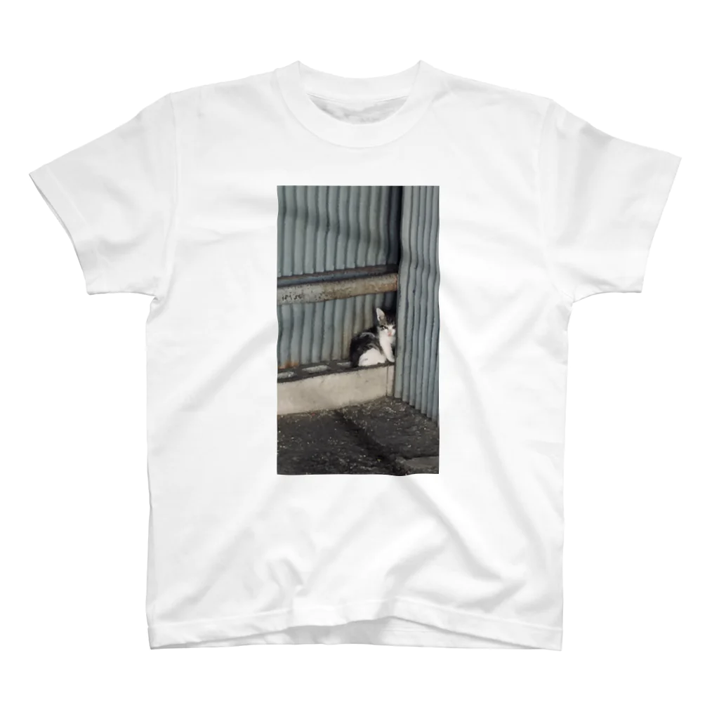 ナスボの野生の猫 Regular Fit T-Shirt