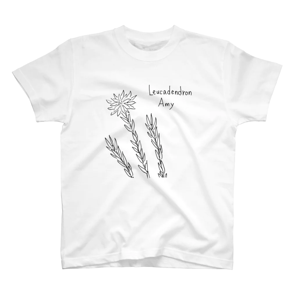 【Botanica】 のLeucadendron Amy スタンダードTシャツ