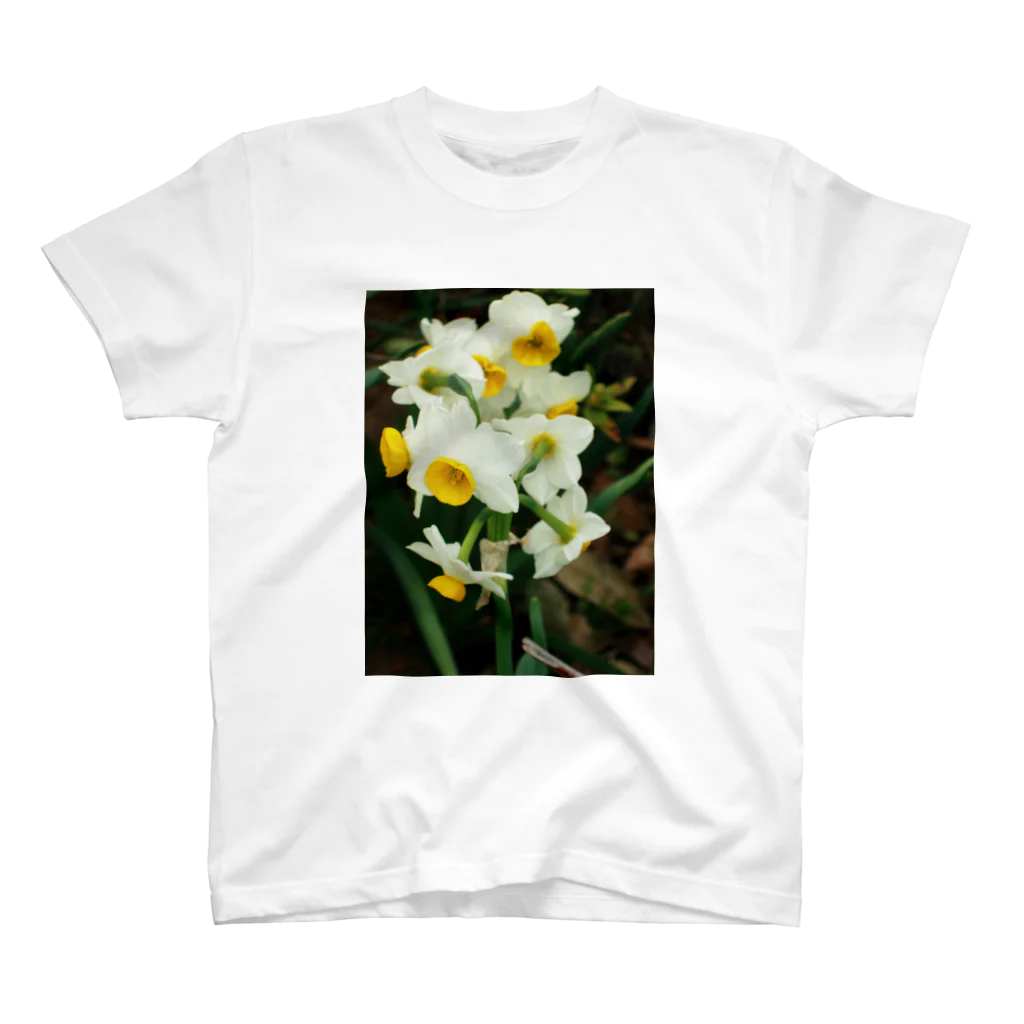 hiroki-naraの水仙　スイセン　DATA_P_100　春　spring スタンダードTシャツ