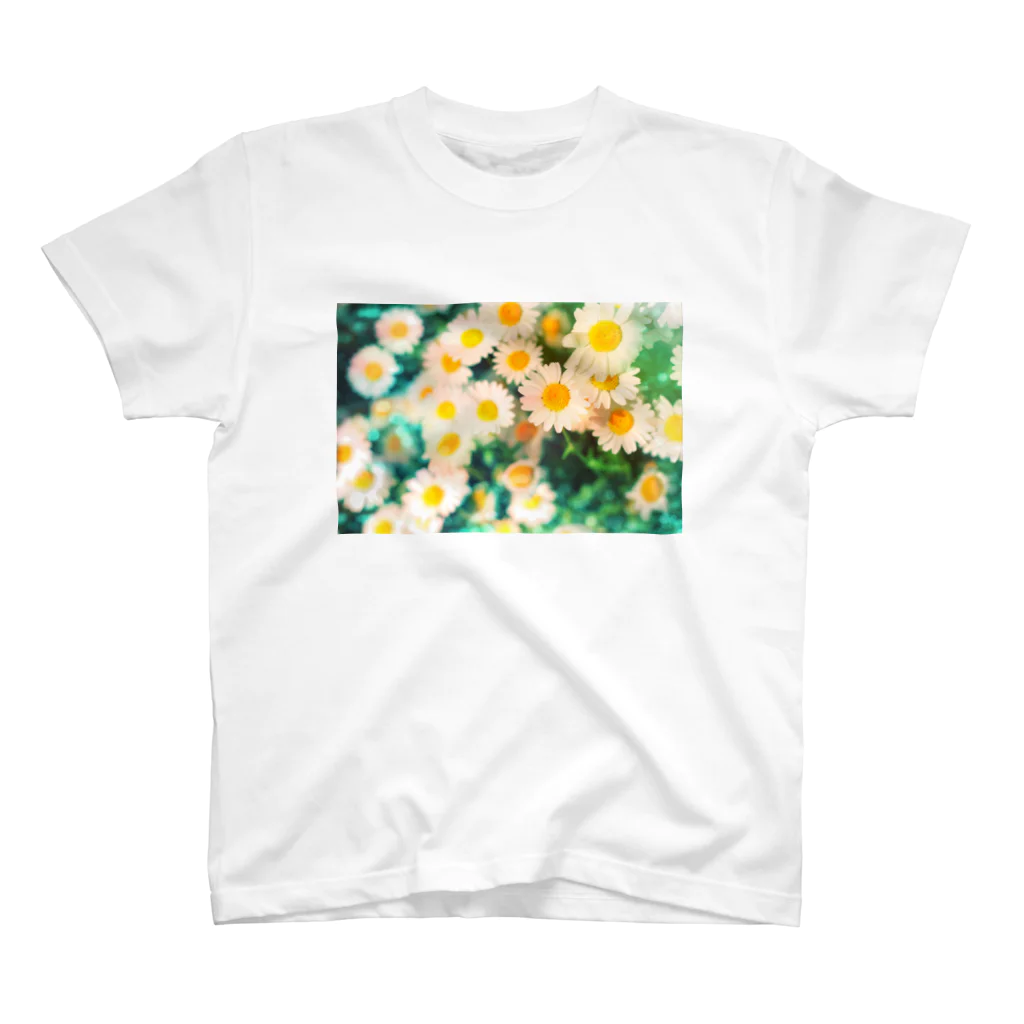 訓子kunkoの閃く（雛菊） Regular Fit T-Shirt