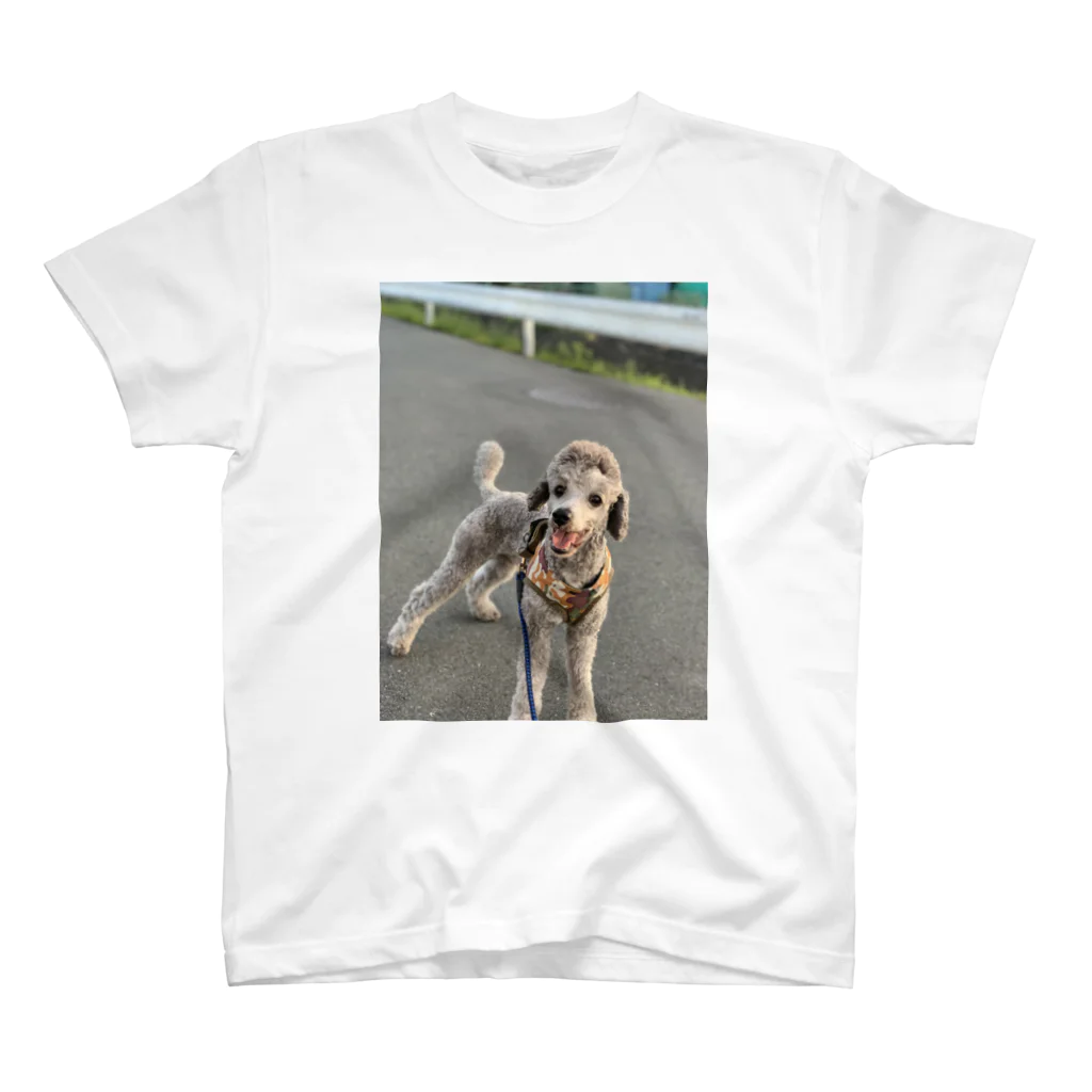 swans8818の犬 スタンダードTシャツ