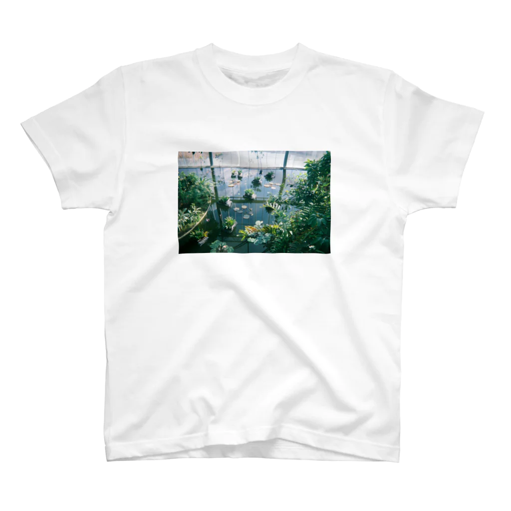 nanakosharun__の2月、植物園 スタンダードTシャツ