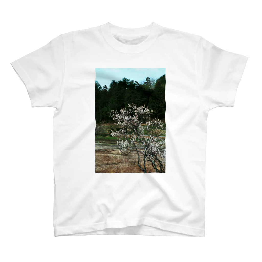 hiroki-naraの梅　ウメ　Japanese　apricot DATA_P_102　春　spring スタンダードTシャツ