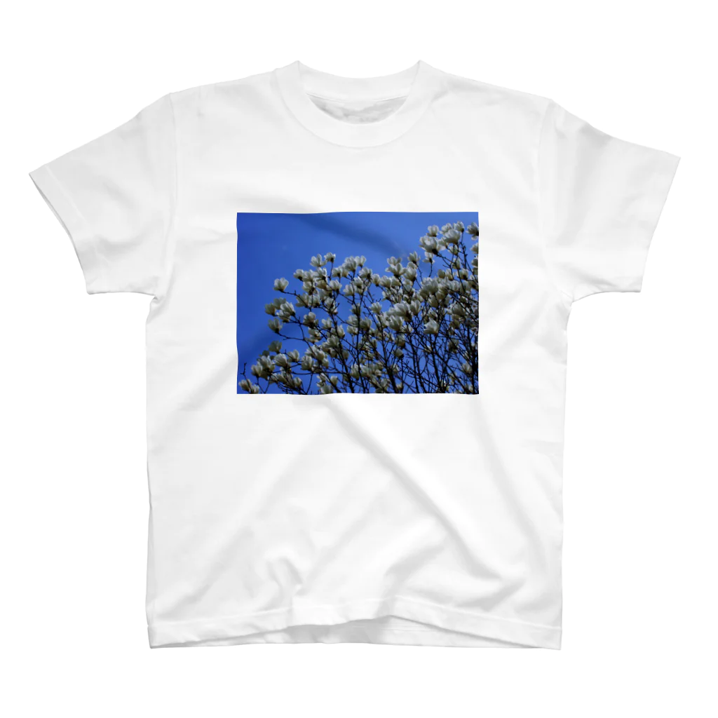 hiroki-naraの白木蓮 はくもくれん　春　spring　DATA_P_103 Regular Fit T-Shirt
