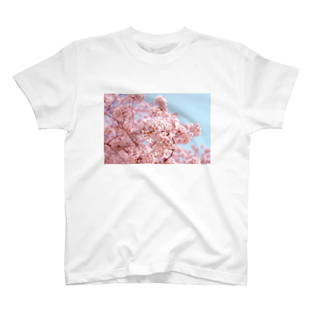 東京都の【対コロナ】桜Tシャツ / スタンダードTシャツ