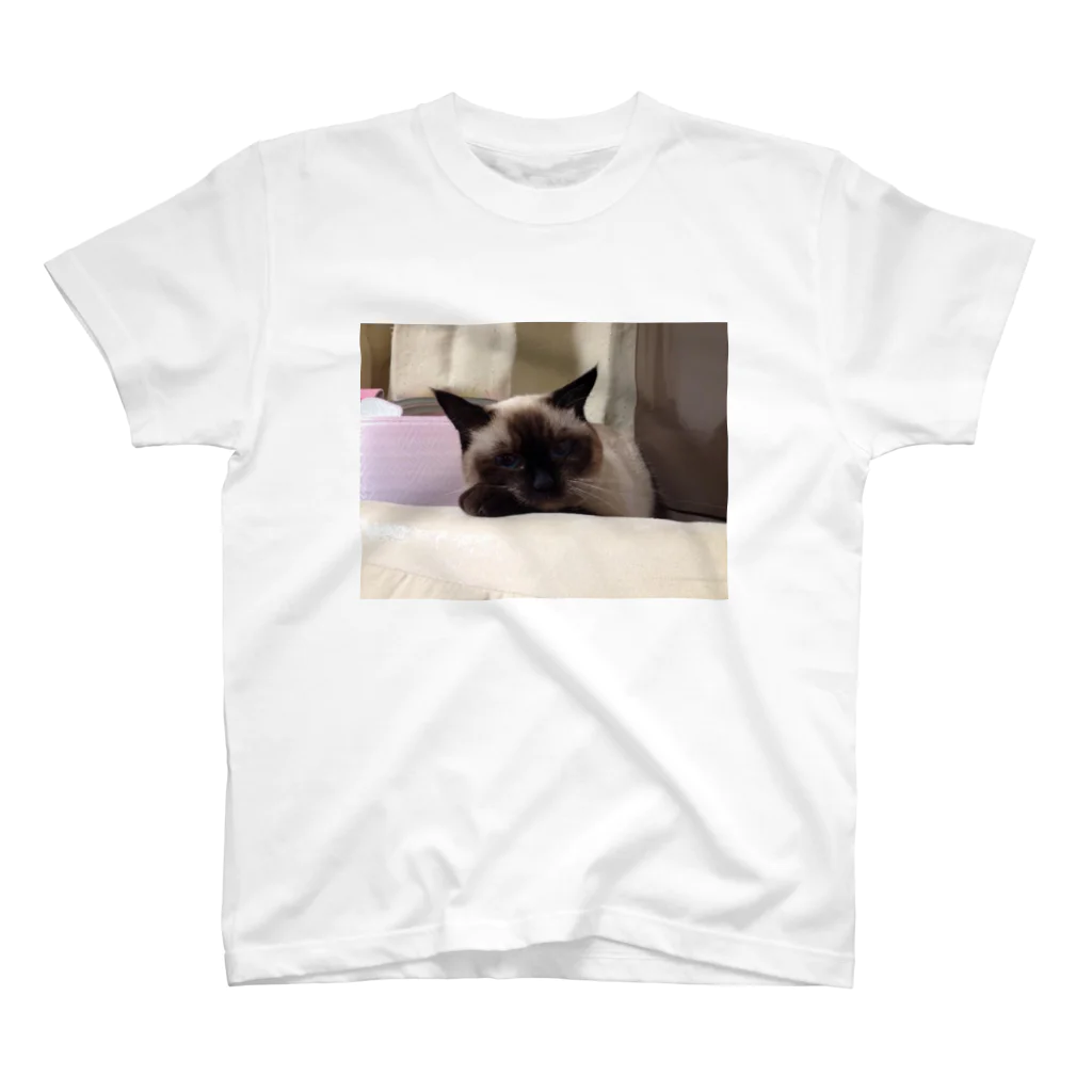 ほわほわのにーにまったり Regular Fit T-Shirt