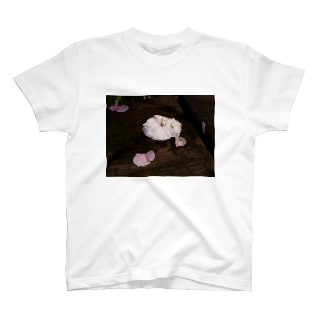 hiroki-naraの桜　サクラ　cherry blossom DATA_P_112　春　spring スタンダードTシャツ