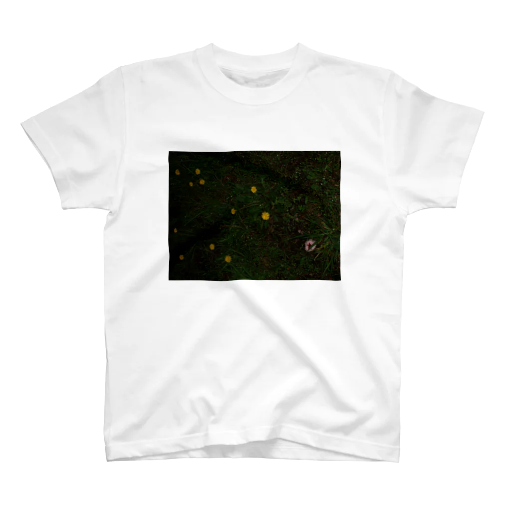 hiroki-naraの桜　サクラ　タンポポ　cherry blossom DATA_P_114　春　spring スタンダードTシャツ