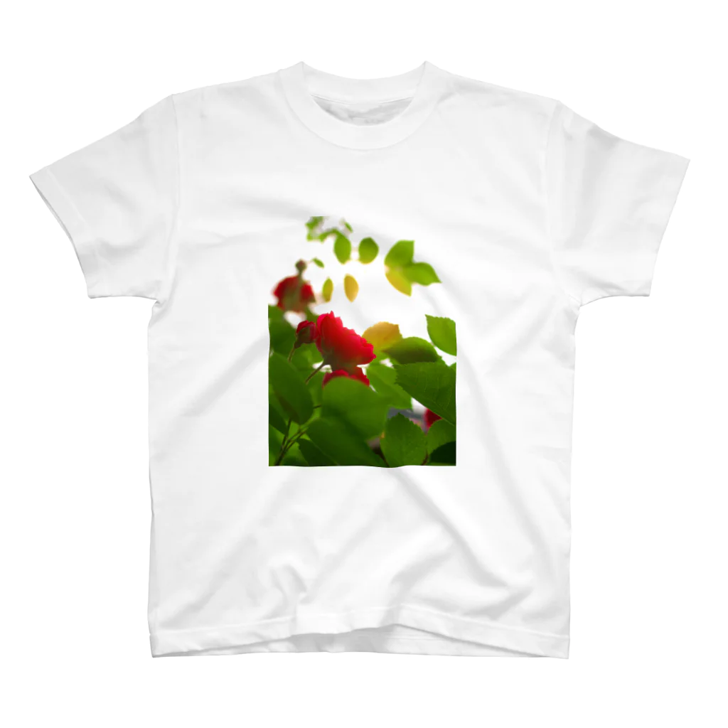 hiroki-naraのバラ　薔薇　rose DATA_P_117 スタンダードTシャツ