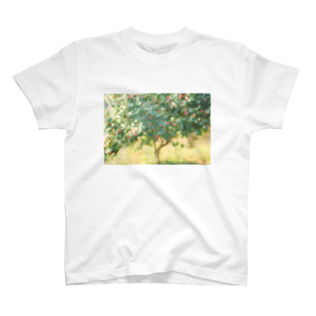 写真屋 プリントショップのフォートイナガキの椿の木 スタンダードTシャツ