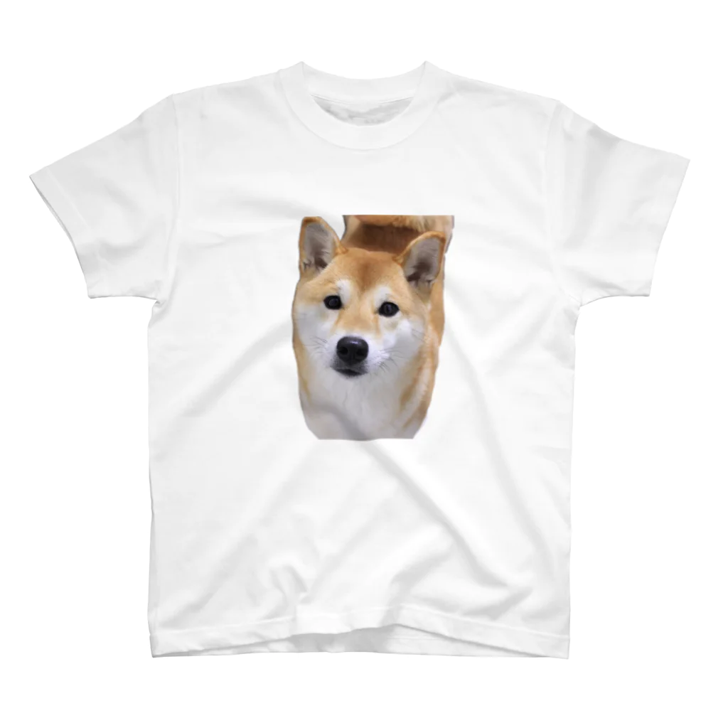 kawaii柴犬のkawaii柴犬 Regular Fit T-Shirt