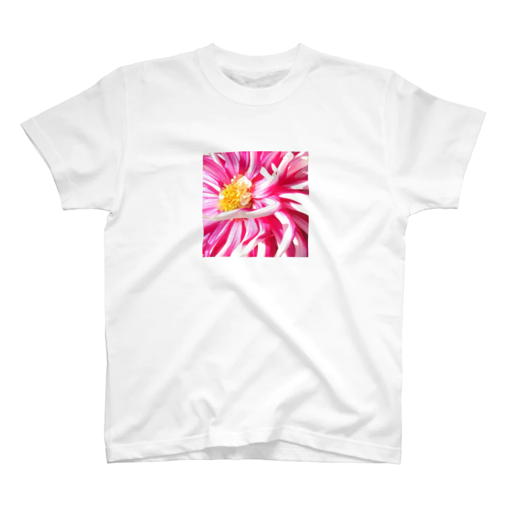 Happy_Houseのflower スタンダードTシャツ