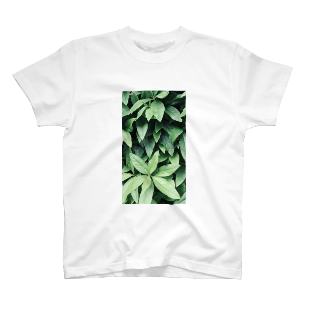 イエネコの植物　ツツジ スタンダードTシャツ