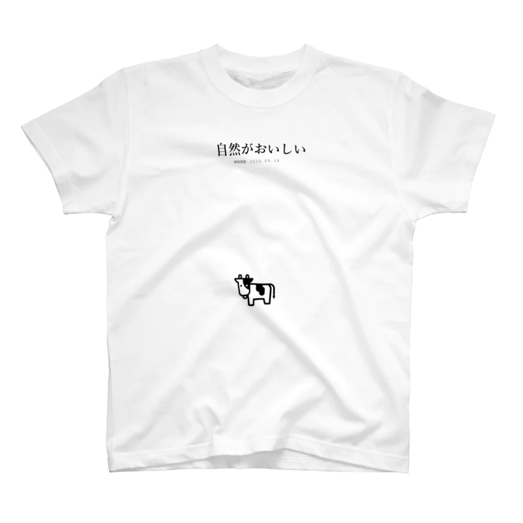 ニコのSIZENGAOISHII Regular Fit T-Shirt