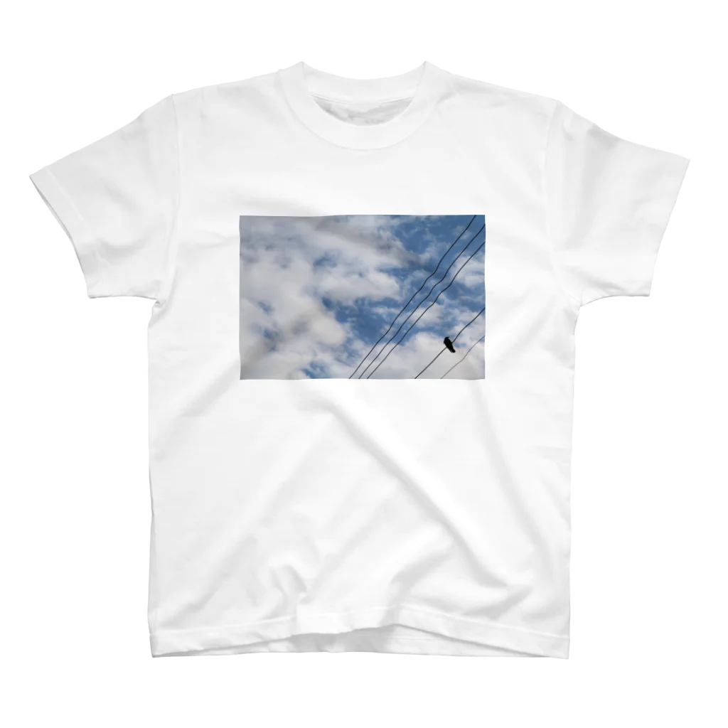 おたなっとーの空と烏 Regular Fit T-Shirt