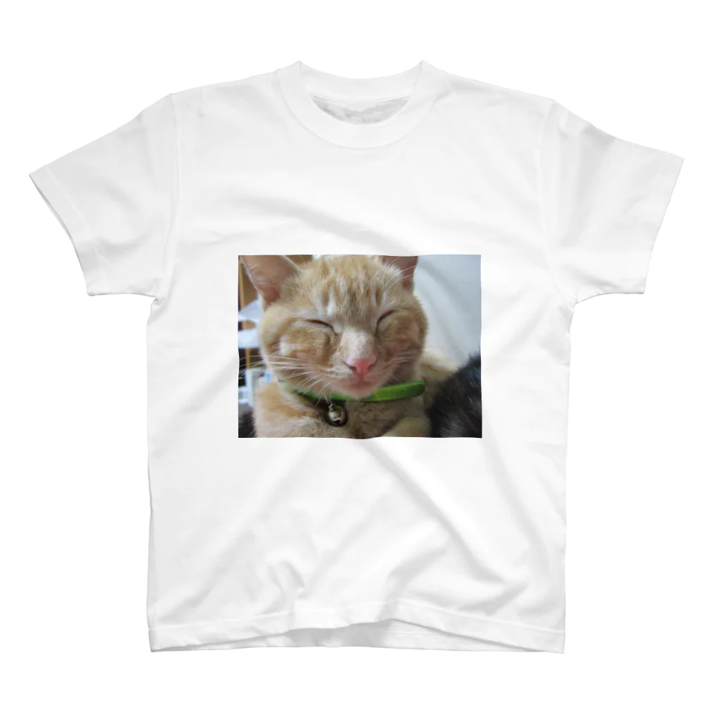 猫充商店のギリ起きてます。はく スタンダードTシャツ