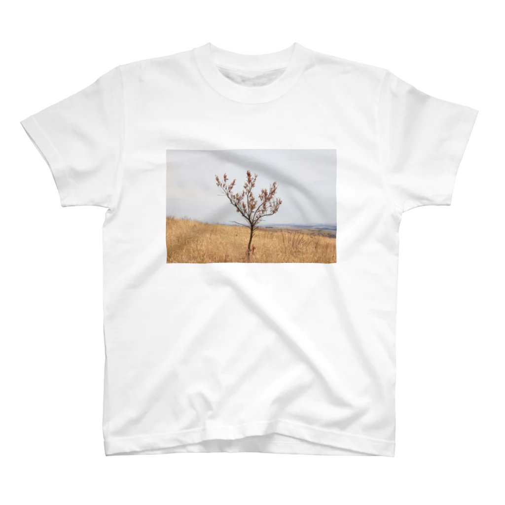 302のtree スタンダードTシャツ