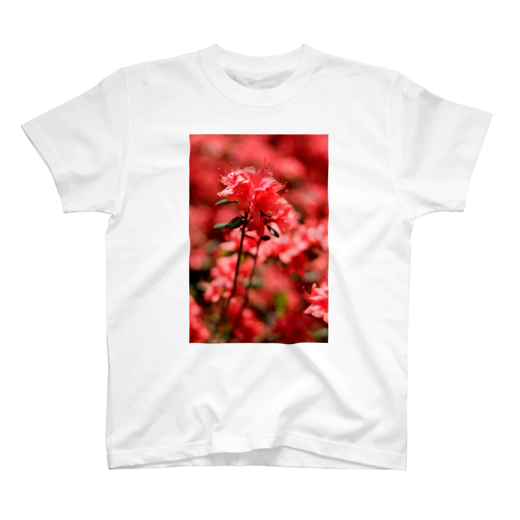 かぴばらのFLOWERS-あか- Regular Fit T-Shirt