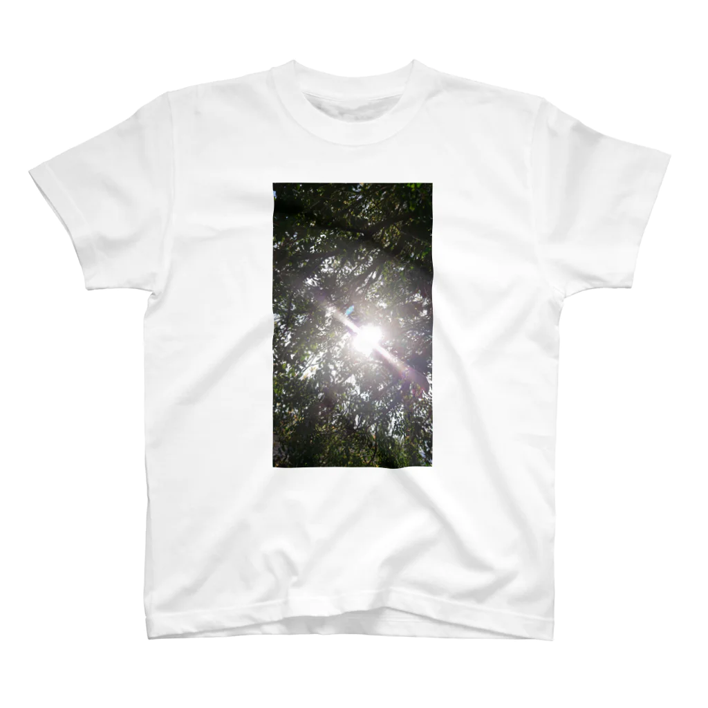 Rの太陽の光が当たる木 Regular Fit T-Shirt