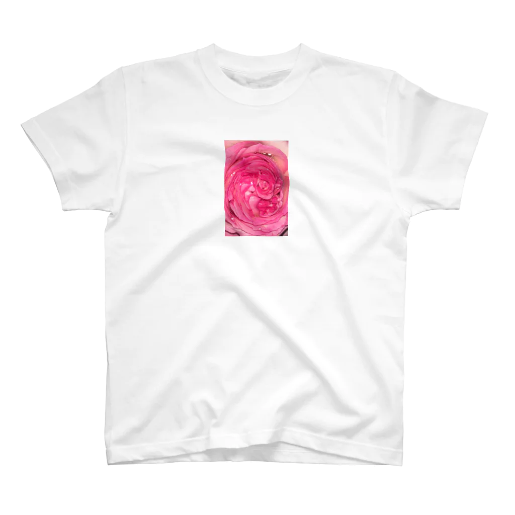 相澤義和の薔薇の花_001 スタンダードTシャツ