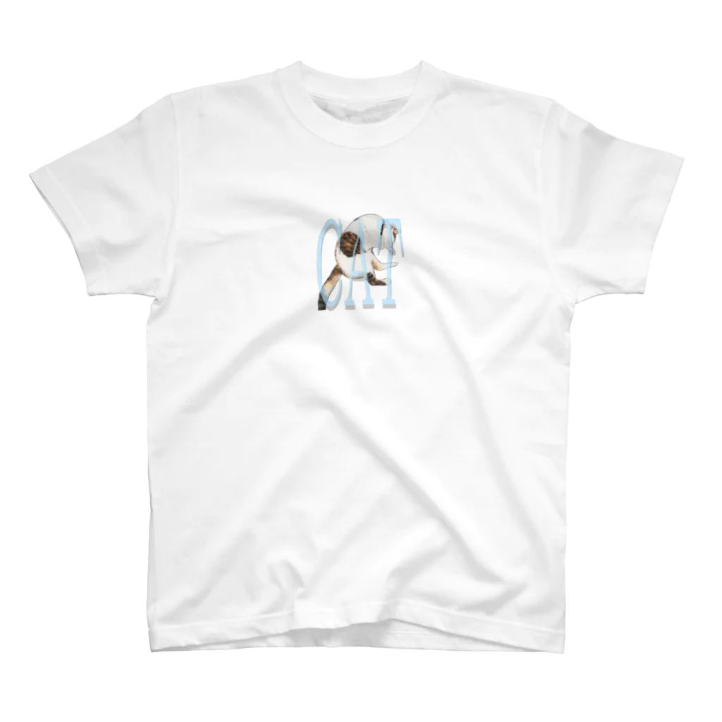 CITY BOY のneko スタンダードTシャツ