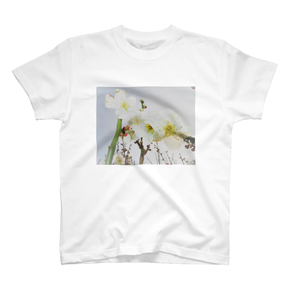 happypappyloveのTOKIMEKIFLOWER白梅花 スタンダードTシャツ