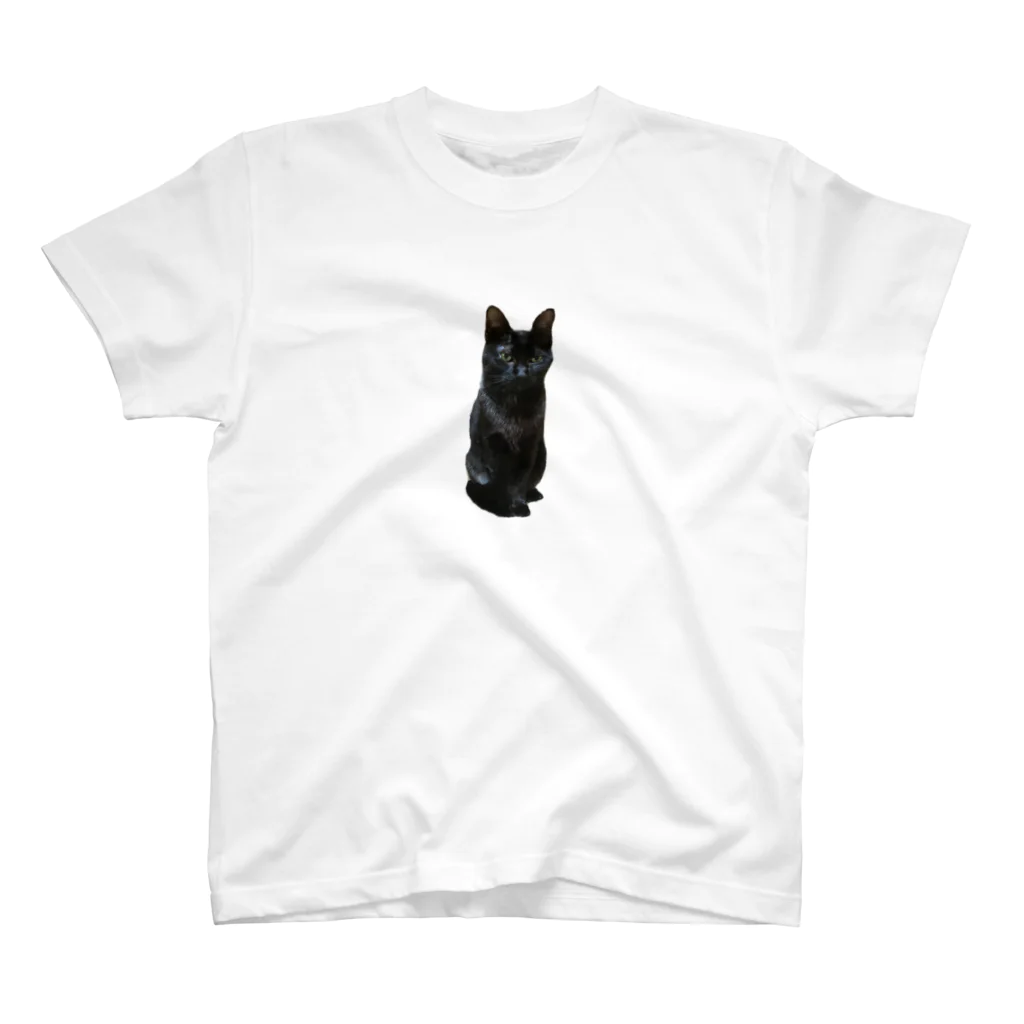 にゃんこ先生のMiao スタンダードTシャツ