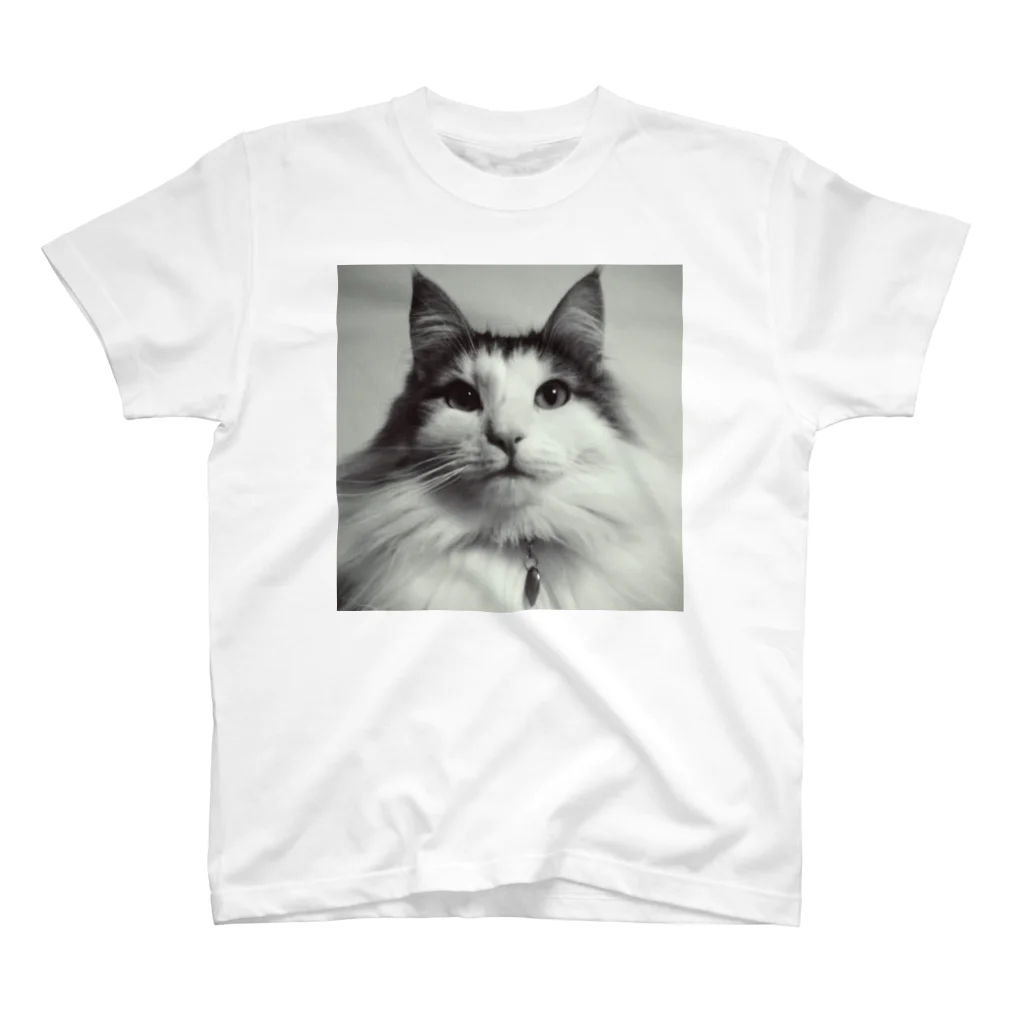 甘草亭の猫 Regular Fit T-Shirt