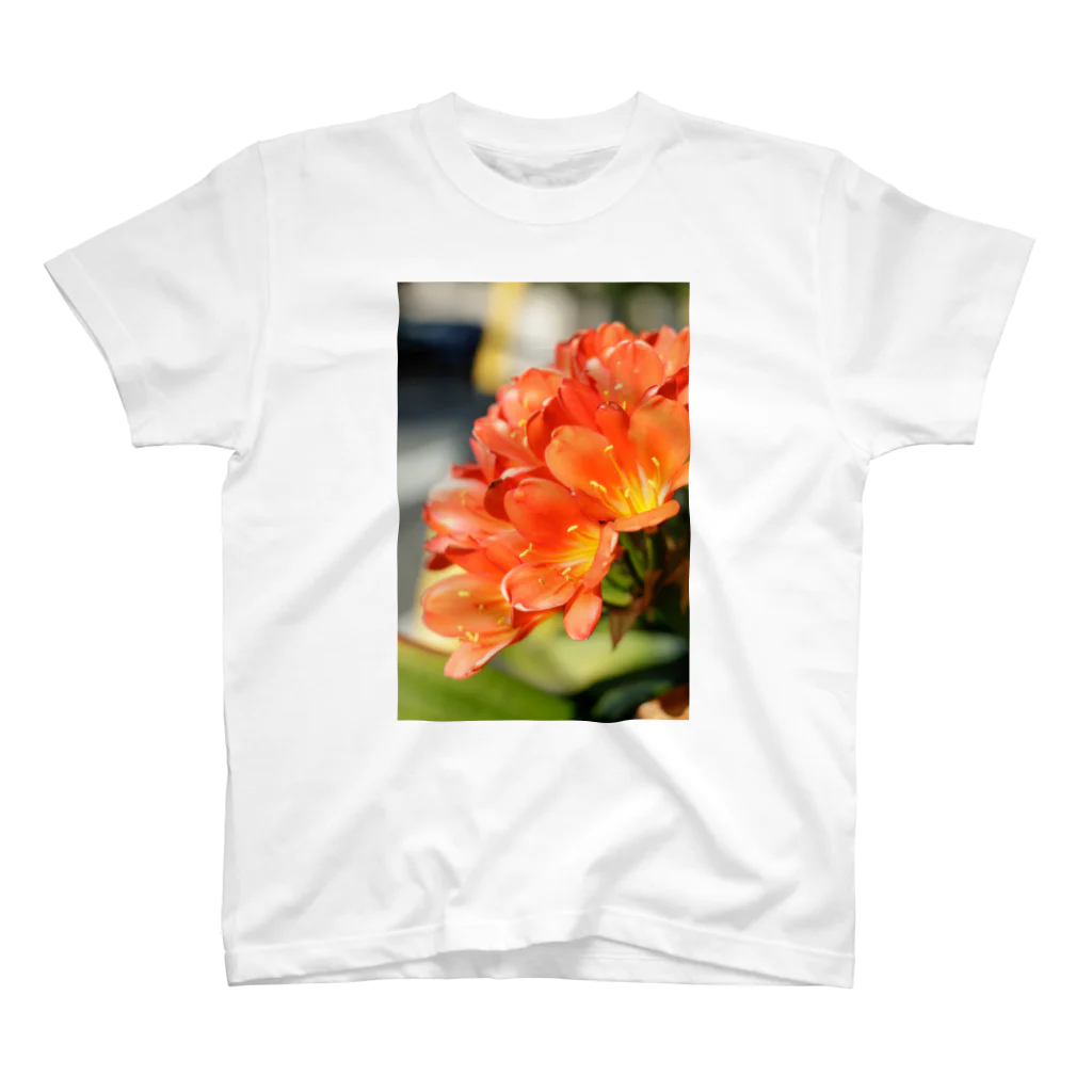 かぴばらのFLOWERS-だいだい- Regular Fit T-Shirt