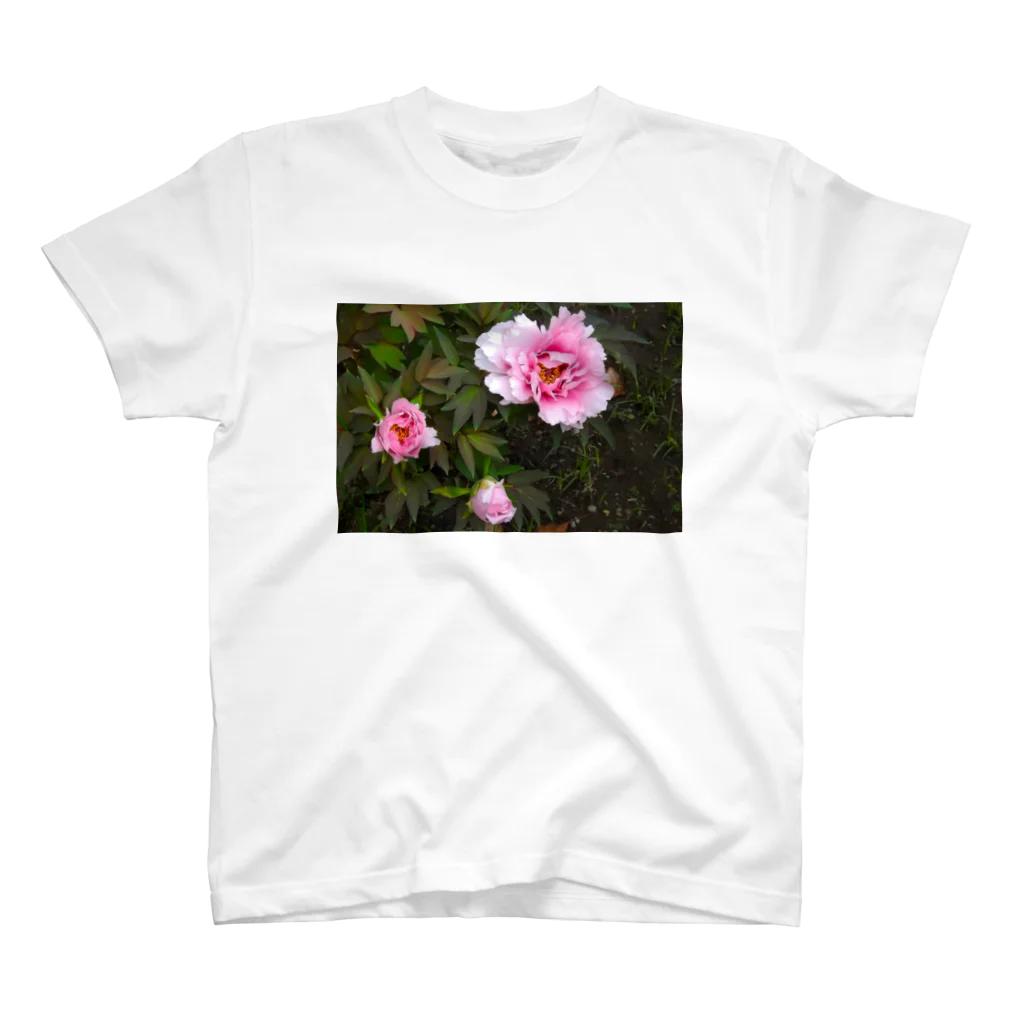 Rendez-vous à Tokyoランデヴーア　トウキョウのFleur du jardin 庭の花 スタンダードTシャツ