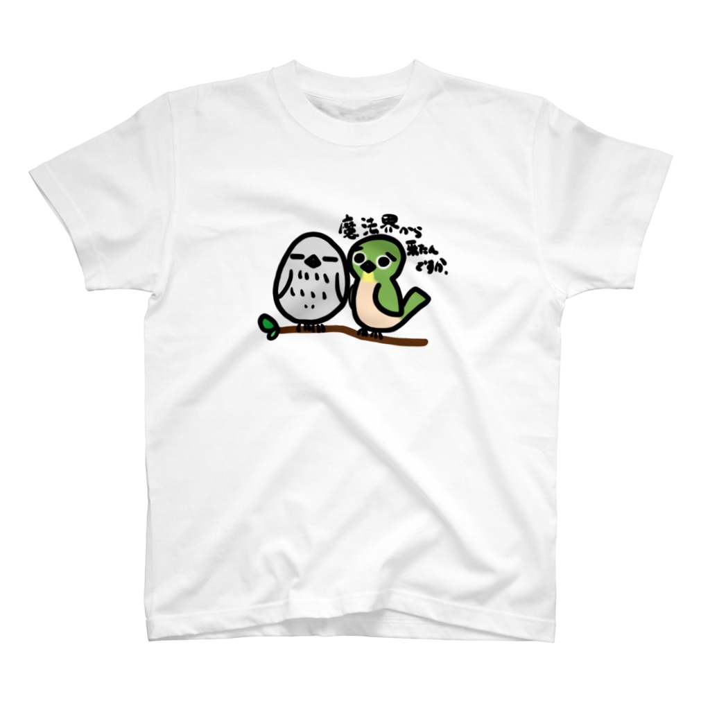 庭にくるコトリからのメジロちゃんと魔法のあれ　Tシャツ Regular Fit T-Shirt