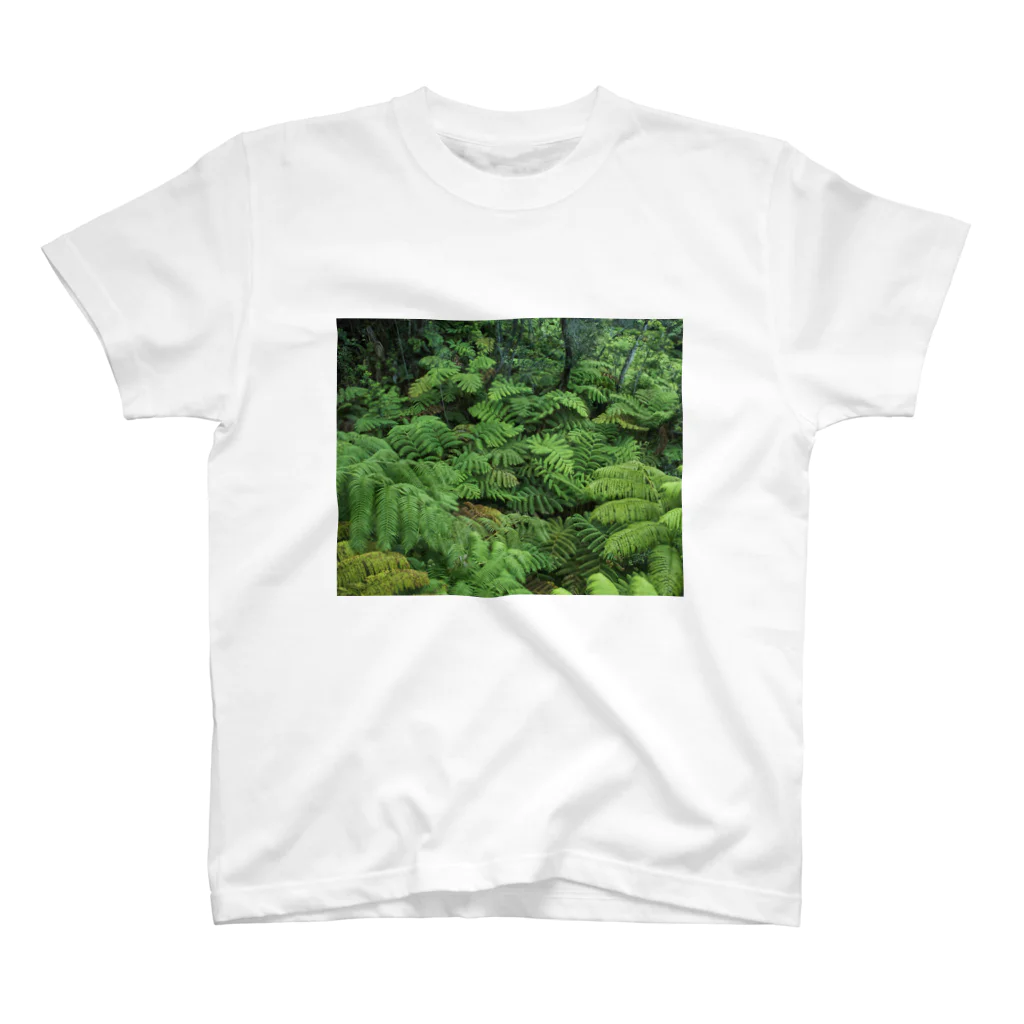 Hironori Murayama photographyのVOLCANO FOREST スタンダードTシャツ