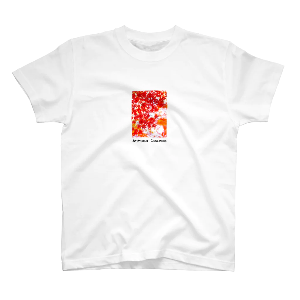 NATUREの紅葉シリーズ🍁 スタンダードTシャツ